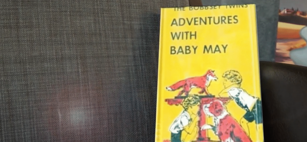 Bobbsey Twins Bobbsey Twins