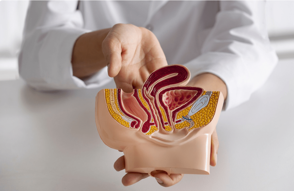 Haemorrhoidectomy Surgery 