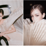 Fiona Xie Plastic Surgery