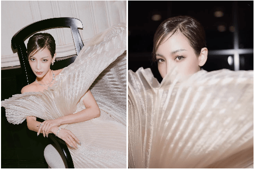 Fiona Xie Plastic Surgery