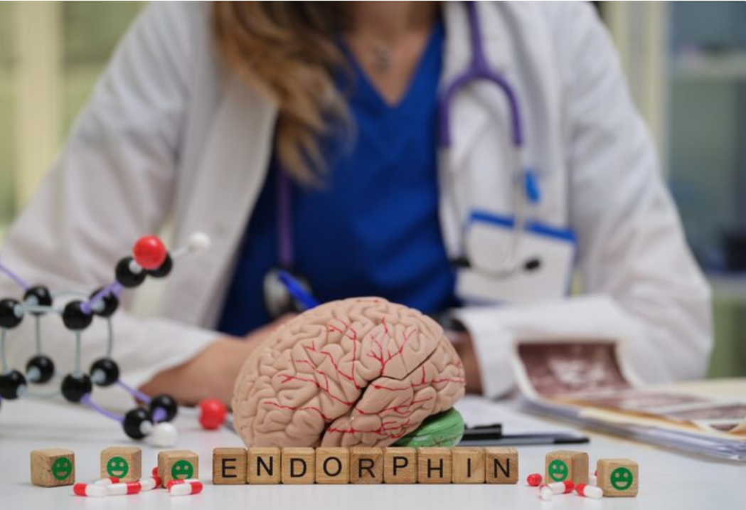 Bruyère Brain Health